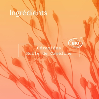 Baume Mains Réparateur