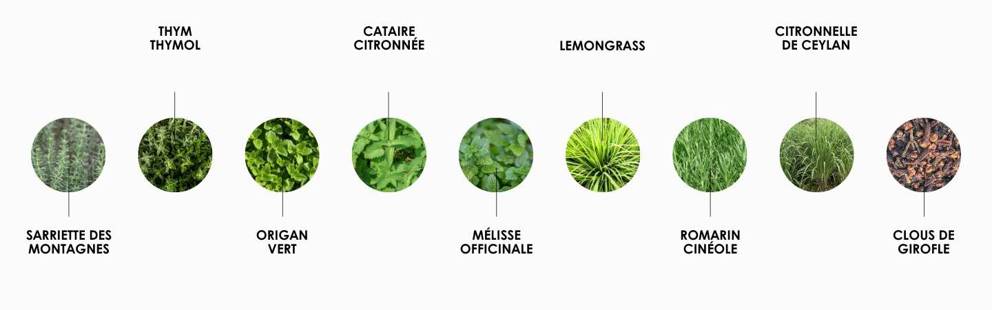 Complexe magnifica breveté ingrédients