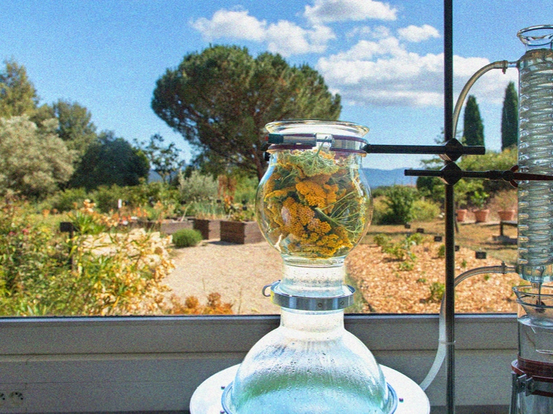 Biotechnologie Sanoflore