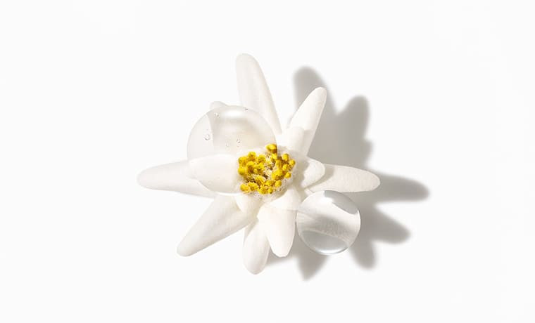 Quels sont les bienfaits de l’edelweiss bio en cosmétique ?