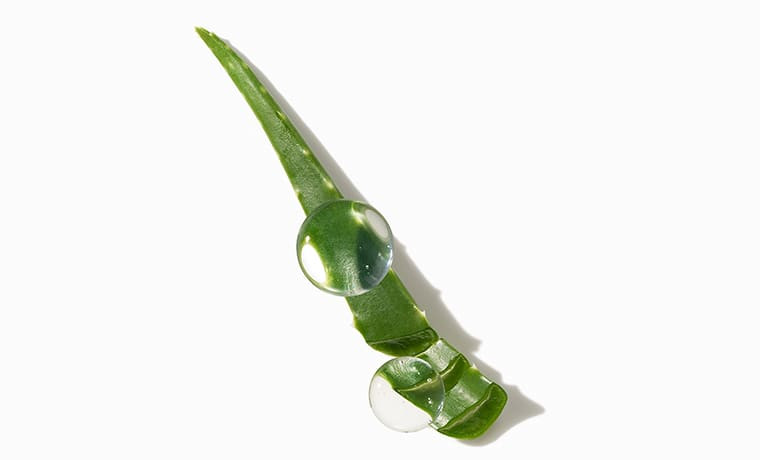 Aloe vera : ses bienfaits sur la peau